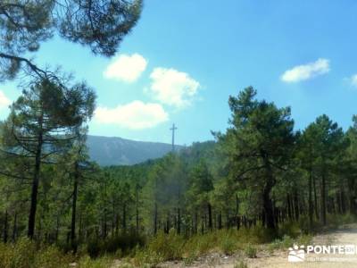 Jarosa - Agua y Bosque Plateado; senderismo entre semana madrid; viajes agosto;excursiones semana sa